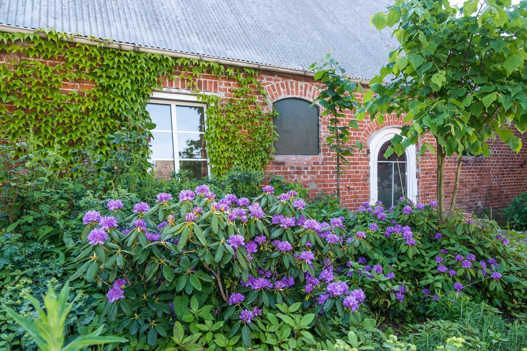 Ferienhof Kolauerhof - Bauernhofurlaub In Grömitz Exteriér fotografie