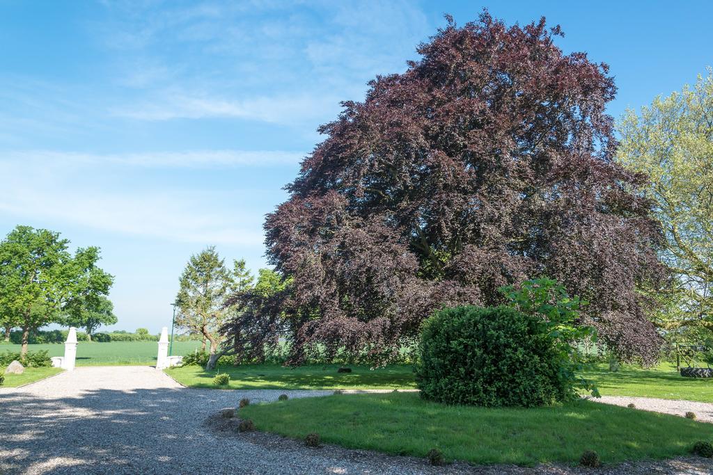Ferienhof Kolauerhof - Bauernhofurlaub In Grömitz Exteriér fotografie